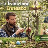 Corso pratico sulle tecniche di innesto