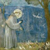 La bellezza e la profezia di San Francesco nella Divina Commedia