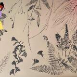 Stampa Botanica