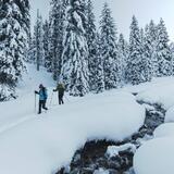 Ciaspolata facile con spuntino di mezzogiorno