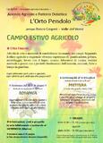 Campo estivo agricolo presso Az. Agr. e Fattoria Didattica L'Orto Pendolo
