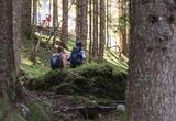 Festa delle Brise e del Bosco