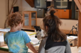 Il Parco al Microscopio - Villa Welsperg