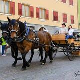 Primiero in Fiore: Speciale Pasqua