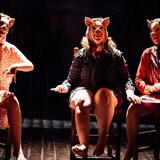 Rassegna Teatrale Bluoff