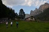Albe in Malga - Malga Canali