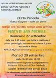 Tempo del raccolto, tempo della semina: la Festa di San Michele