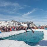 Festa di Fine Stagione: Alpe Tognola