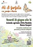 Ali di farfalla