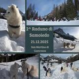 2&deg; Raduno Samoiedo &amp; Co.