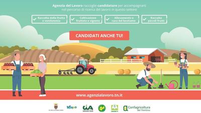 L'Agricoltura assume in Trentino: presenta la tua domanda